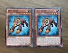 Test Tiger