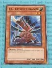 T.G. Catapult Dragon