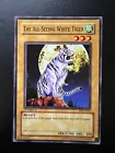 The All-Seeing White Tiger