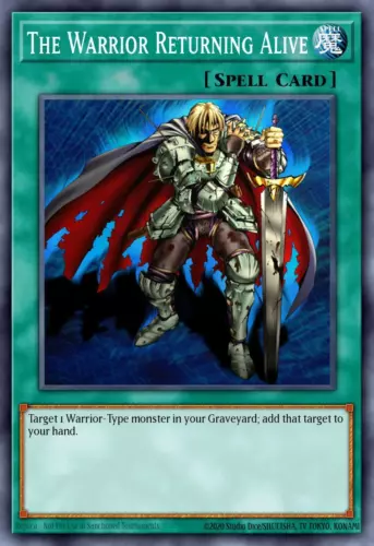 Shield Warrior