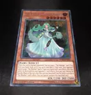 Secret Sect Druid Dru