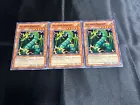 Thunder Dragon