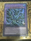 Thunder Dragon Titan