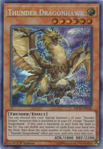 Thunder Dragonhawk