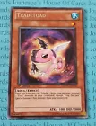 Tradetoad