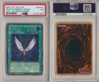 Transcendent Wings
