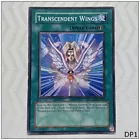 Transcendent Wings