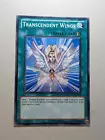 Transcendent Wings