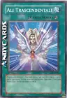 Transcendent Wings