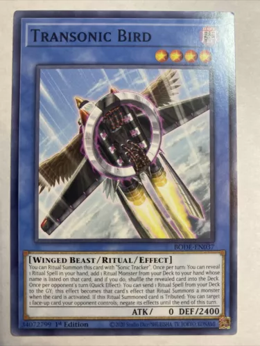 Transonic Bird