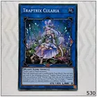 Traptrix Cularia