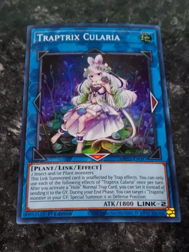 Traptrix Cularia