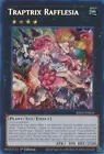 Traptrix Rafflesia