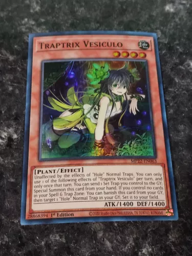 Traptrix Vesiculo