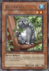 Tree Otter