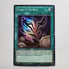 Tribute to The Doomed