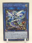 Trickstar Holly Angel