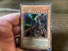 Tyrant Dragon