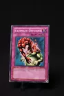 Ultimate Offering