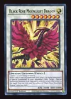 Black Rose Moonlight Dragon