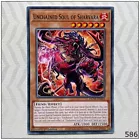 Unchained Soul of Rage