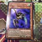 Ancient Sacred Wyvern