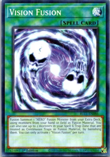 Vision Fusion