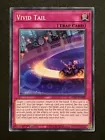 Vivid Tail