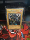 Vorse Raider