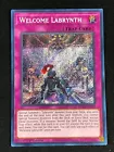 Welcome Labrynth