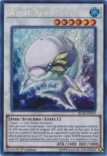 White Aura Dolphin