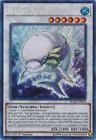 White Aura Dolphin
