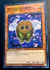 Winged Kuriboh