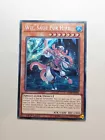 Wiz, Sage Fur Hire