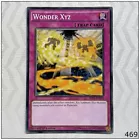 Wonder Xyz