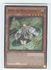 Wynn the Wind Channeler