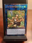 Wynn the Wind Charmer, Verdant