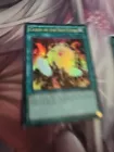 Cards of the Red Stone