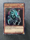 Alien Ammonite