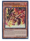 Burning Dragon