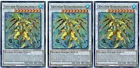 Crystron Quariongandrax