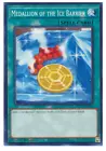 Medallion of the Ice Barrier