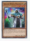 Skilled White Magician