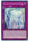 Soul of the Supreme Celestial King