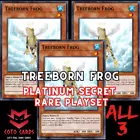 Treeborn Frog