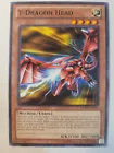 Y-Dragon Head