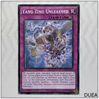 Yang Zing Unleashed