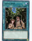 Snake Rain