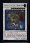Life Stream Dragon