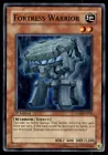 Fortress Warrior